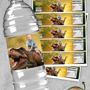Jurassic Dino Birthday Bottle Label Stickers for 16 oz Water Bottles