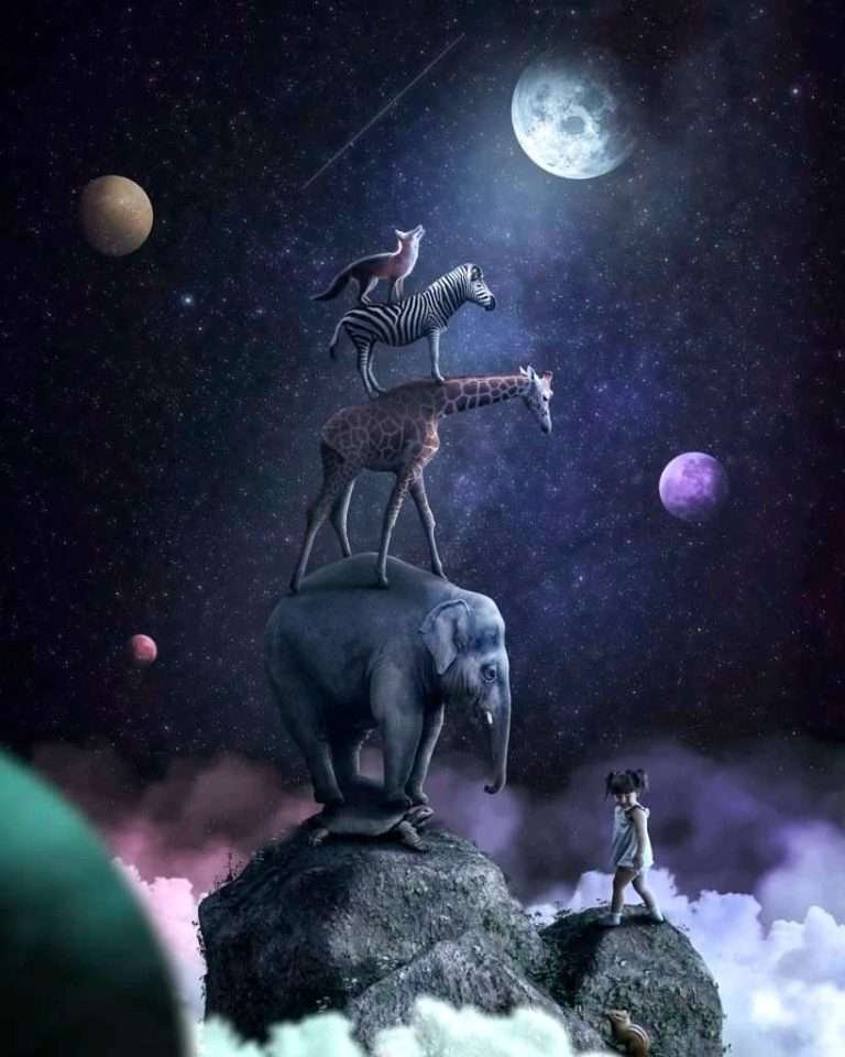 Our Manifesto at Alice Magic Party